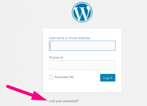 How to Reset my WordPress Password