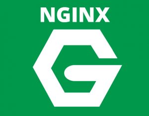 How to install Nginx in whm