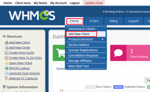 HOW TO ADD NEW CLIENT IN WHMCS MANUALLY
