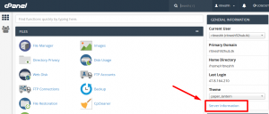 How to check the version of Apache in cPanel