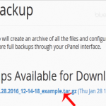How to take partial backup of complete website which can be restored easily within cPanel?