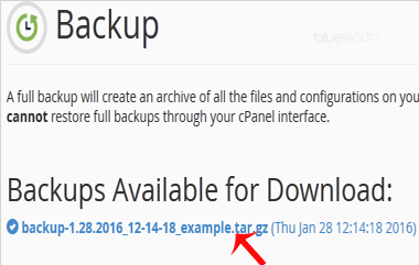 How to take partial backup of complete website which can be restored easily within cPanel?