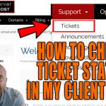 HOW DO I CHECK MY TICKET STATUS FROM CLIENT AREA