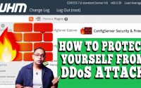 How to prevent DDoS attack via Config Server Security & Firewall in WHM root