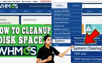 HOW TO CLEAN UP DISK SPACE IN WHMCS