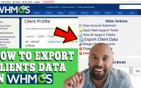 HOW TO EXPORT CLIENTS DATA IN WHMCS