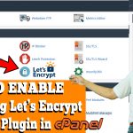 How to install one click SSL via premium Let's Encrypt Plugin "Fleet SSL"