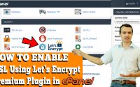 How to install one click SSL via premium Let's Encrypt Plugin "Fleet SSL"