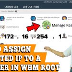 HOW TO ASSIGN A DEDICATED IP ADDRESS TO A RESELLER IN WHM