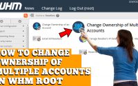 HOW TO CHANGE OWNERSHIP OF MULTIPLE ACCOUNTS IN WHM ROOT