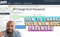 steps to change WHM root password