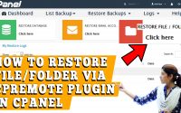 How to restore a particular file or folder using whmremote Backup plugin in cPanel