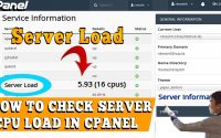 How do I check Server Load details in cPane