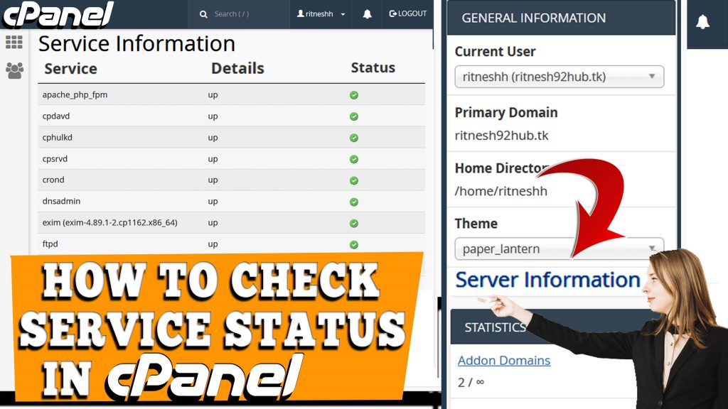 How do I check service status through cPanel interface
