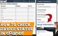 How do I check service status through cPanel interface