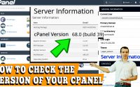 How to Check the Version of Your cPanel through cPanel