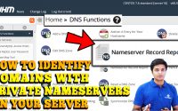 HOW TO IDENTIFY DOMAINS WITH PRIVATE NAMESERVERS IN SERVER