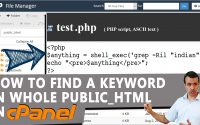How to Find a keyword under whole public html via cPanel user level access