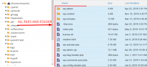 Where to find the installed WordPress directory in cPanel