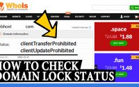 How to check your Domain Lock status