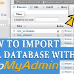 How to Import MySQL database with phpMyAdmin