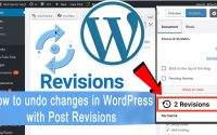 How to Undo Changes in WordPress with Post Revisions