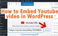 how to Add YouTube Videos to WordPress