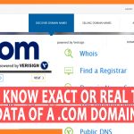How to know the exact real time Whois data of a .com domain