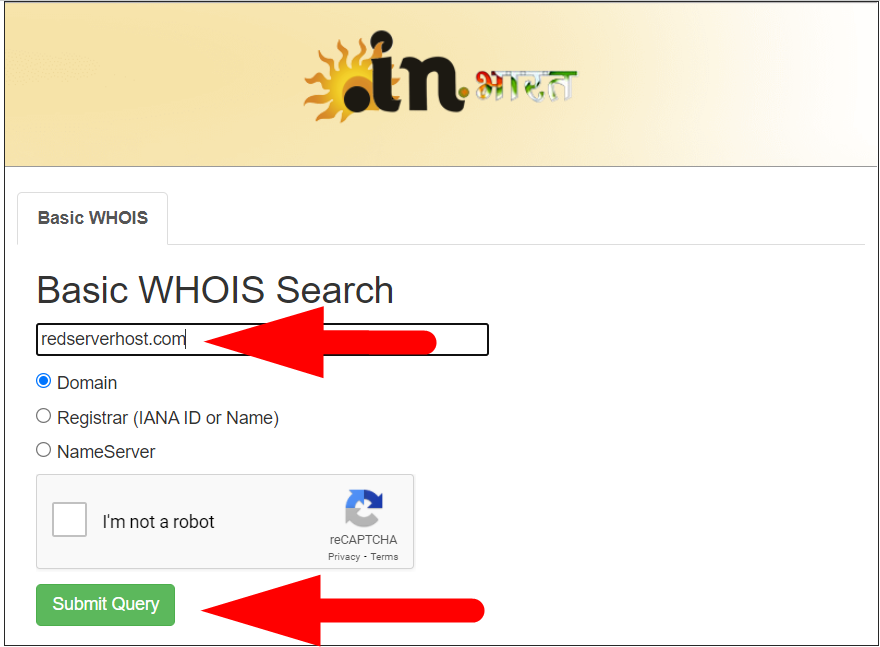 Enter the domain name in Registry.in