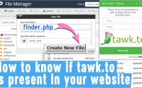 How to know if tawk.to chat code is present in your website or not