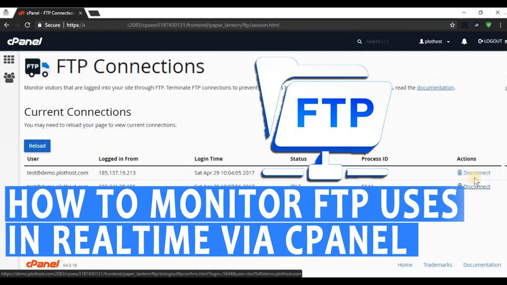 Monitor FTP uses in realtime via cPanel
