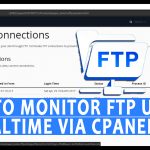 Monitor FTP uses in realtime via cPanel