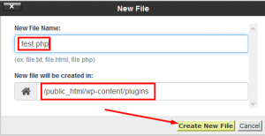 How to Install WP plugin in WordPress with custom admin URL