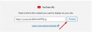 How to Embed a Youtube video in your WordPress post
