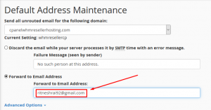 Catch emails of an Email address that doesn't exist in cPanel