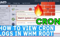 How to view Cron log in WHM root