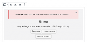 How to Fix the HTTP Image Upload Error While uploading SVG images In WordPress