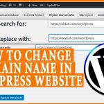 How to Change the domain name in your Wordpress site via WP Plugin
