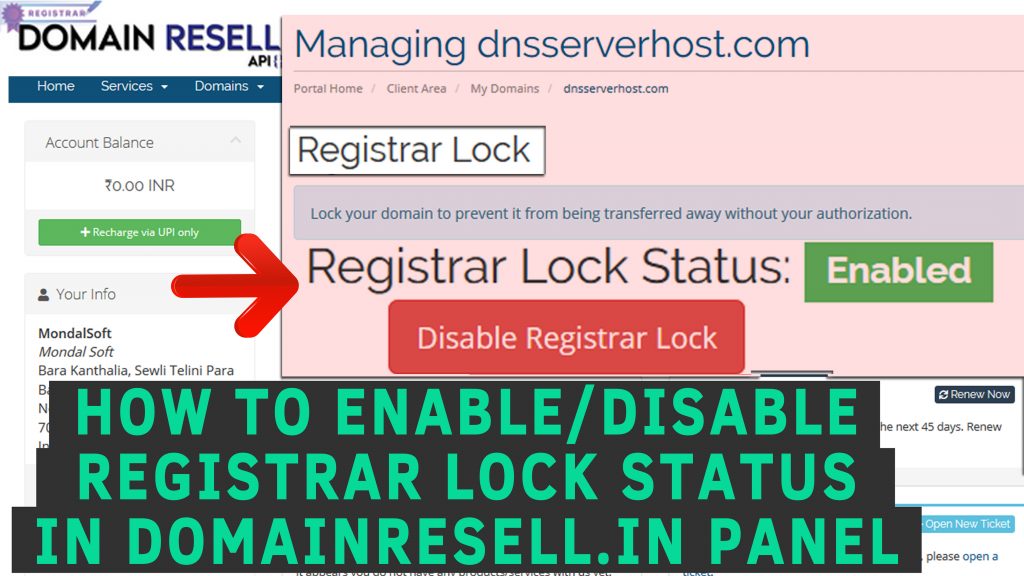 How to Enable/Disable Registrar lock status in DomainResell.in panel