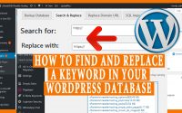 How to Find and Replace a keyword in your WordPress Database