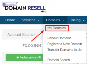 How to Modify and delete existing child nameserver/hostname in domain resell in panel