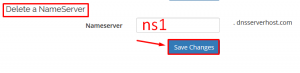 How to Modify and delete existing child nameserver/hostname in domain resell in panel