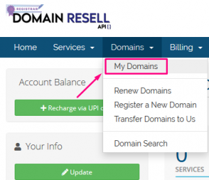 How to get EPP code/Authentication code from domain resell.in panel