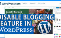 How to use WordPress as a website and disable blog feature