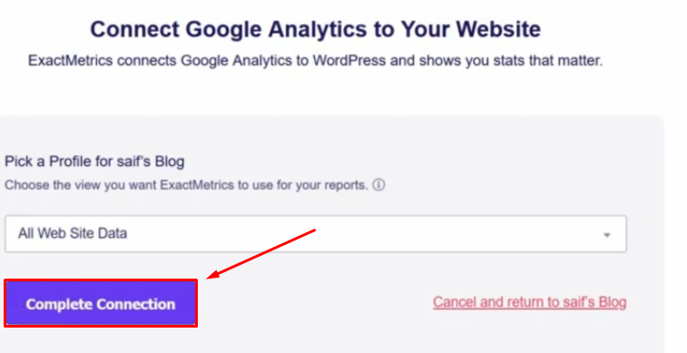 How to Add Google Analytics to your WordPress website