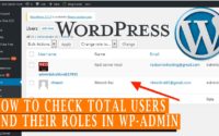 How to check total Wordpress users in your wp admin