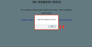 How to disable right click on your website using javascript