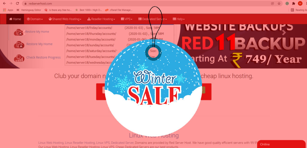 Redserverhost.com winter discount sale