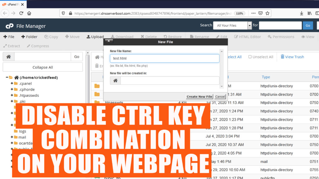 How to disable CTRL key combinations on your webpages