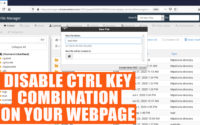 How to disable CTRL key combinations on your webpages